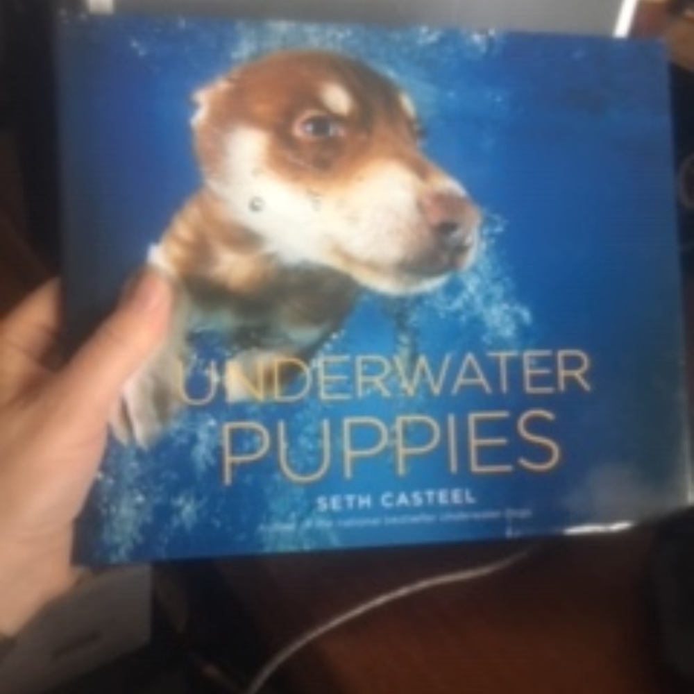 Underwater Puppies by Seth Casteel $10 -42 OR FREE
